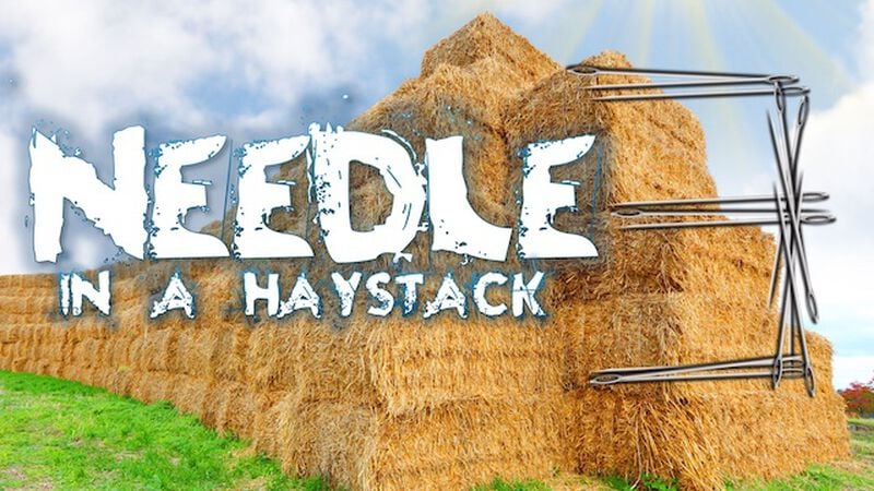 Needle in a Haystack 3